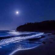 ヒメ日記 2025/11/18 14:38 投稿 国分ももな 恋する妻たち