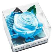 ヒメ日記 2025/11/22 14:38 投稿 国分ももな 恋する妻たち