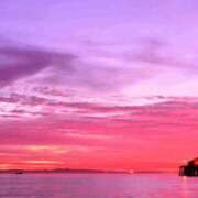 ヒメ日記 2025/12/09 18:08 投稿 国分ももな 恋する妻たち