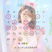 ヒメ日記 2025/12/01 07:23 投稿 りか ニューグランド