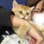 ヒメ日記 2026/02/23 21:16 投稿 りか ニューグランド