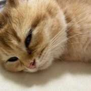 ヒメ日記 2026/03/24 18:23 投稿 りか ニューグランド