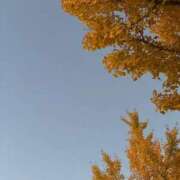 ヒメ日記 2025/11/27 12:08 投稿 あかり One More 奥様　池袋店