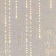 ヒメ日記 2025/12/19 11:28 投稿 あかり One More 奥様　池袋店