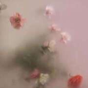 あかり 1/17ありがとう🤍 One More 奥様　池袋店