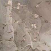 ヒメ日記 2026/01/27 13:24 投稿 あかり One More 奥様　池袋店