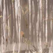 ヒメ日記 2026/01/30 14:08 投稿 あかり One More 奥様　池袋店