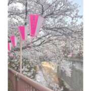 ヒメ日記 2026/03/29 22:08 投稿 あかり One More 奥様　池袋店