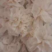 ヒメ日記 2026/04/04 06:48 投稿 あかり One More 奥様　池袋店