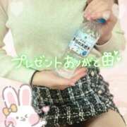 ヒメ日記 2025/11/19 20:00 投稿 有野りま 五反田マーマレード(ユメオト)