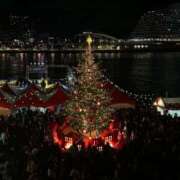 ヒメ日記 2025/11/19 03:37 投稿 ふう MINT（ミント）