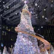 ヒメ日記 2025/12/03 21:17 投稿 ふう MINT（ミント）