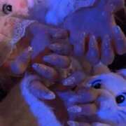 ヒメ日記 2025/12/20 21:18 投稿 ふう MINT（ミント）