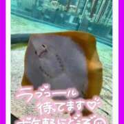 ヒメ日記 2026/02/03 12:18 投稿 あやせ 松本人妻隊