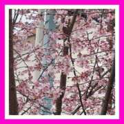 ヒメ日記 2026/02/16 19:01 投稿 あやせ 松本人妻隊