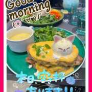 ヒメ日記 2026/04/06 08:25 投稿 あやせ 松本人妻隊