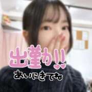 ヒメ日記 2025/11/11 11:02 投稿 島崎　すず NADIA神戸店