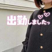 ヒメ日記 2026/04/09 11:21 投稿 島崎　すず NADIA神戸店