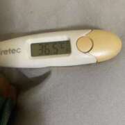 ヒメ日記 2025/11/21 15:40 投稿 アオ(奥方) 奥様幕府