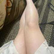 ヒメ日記 2025/11/22 17:25 投稿 アオ(奥方) 奥様幕府