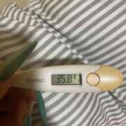 ヒメ日記 2025/12/18 12:27 投稿 アオ(奥方) 奥様幕府