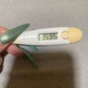 ヒメ日記 2025/12/19 12:47 投稿 アオ(奥方) 奥様幕府