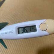 ヒメ日記 2025/12/21 12:27 投稿 アオ(奥方) 奥様幕府
