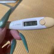 ヒメ日記 2025/12/22 10:57 投稿 アオ(奥方) 奥様幕府