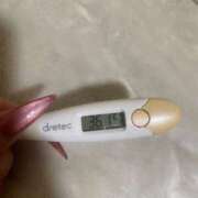 ヒメ日記 2025/12/25 14:37 投稿 アオ(奥方) 奥様幕府