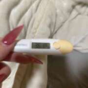 ヒメ日記 2025/12/26 10:47 投稿 アオ(奥方) 奥様幕府