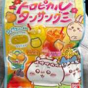 ヒメ日記 2026/08/12 20:46 投稿 うさ 新潟デリヘル倶楽部