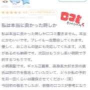 ヒメ日記 2026/09/06 11:36 投稿 うさ 新潟デリヘル倶楽部