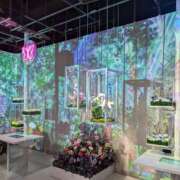 一色りんか 3 麗しいマダム