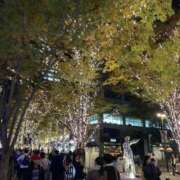 ヒメ日記 2025/11/23 11:21 投稿 はるな ✨気品溢れる極上美女 Parfaite Luna☆(パルフェットルナ)