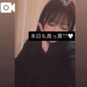 ヒメ日記 2025/12/17 22:23 投稿 つむぎ もみもみワンダーランド