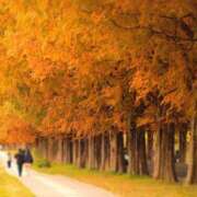 ヒメ日記 2025/11/27 04:51 投稿 瑠璃　きょうこ かりそめ