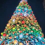 ヒメ日記 2025/12/07 00:41 投稿 瑠璃　きょうこ かりそめ