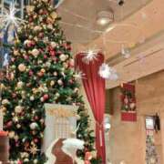 ヒメ日記 2025/12/24 13:01 投稿 瑠璃　きょうこ かりそめ