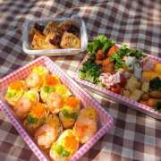 ヒメ日記 2026/04/07 15:21 投稿 瑠璃　きょうこ かりそめ