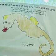 ヒメ日記 2025/11/15 10:11 投稿 夢川　のあ かりそめ