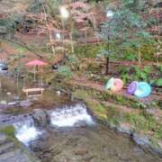 ヒメ日記 2025/12/16 23:31 投稿 藤森　りえ かりそめ