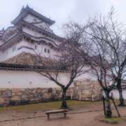 ヒメ日記 2025/12/25 23:11 投稿 藤森　りえ かりそめ