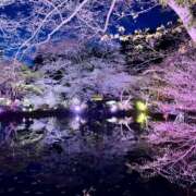 ヒメ日記 2026/04/04 18:01 投稿 真木　さくら かりそめ