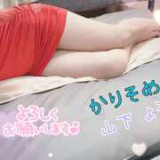 ヒメ日記 2025/11/17 15:21 投稿 山下　よう かりそめ