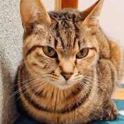 ヒメ日記 2025/11/23 19:37 投稿 らいか サマンサ 堺店