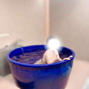 らいか 本日✨️ サマンサ 堺店