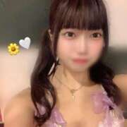 ヒメ日記 2025/11/30 12:03 投稿 める ジャパンクラブ富士