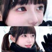 ヒメ日記 2025/12/19 10:42 投稿 める ジャパンクラブ富士