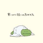 ヒメ日記 2025/12/31 19:26 投稿 める ジャパンクラブ富士