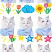 ヒメ日記 2026/02/06 17:14 投稿 める ジャパンクラブ富士